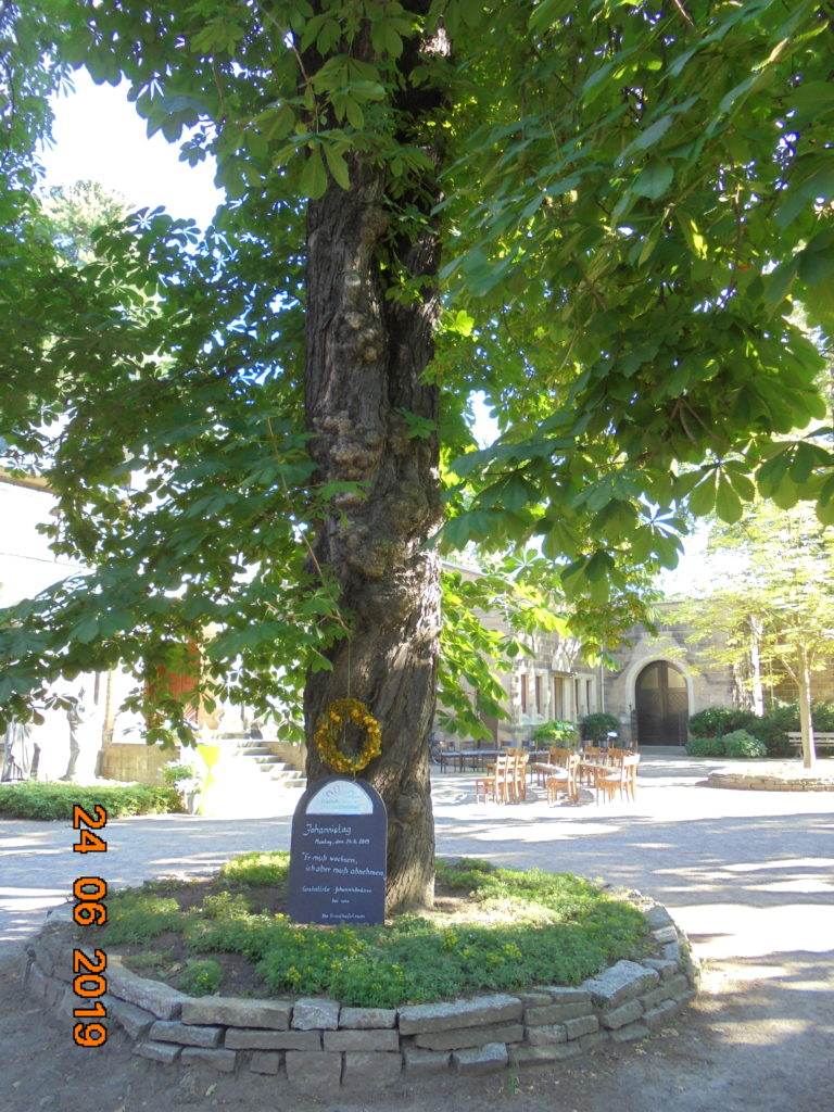DSC00459