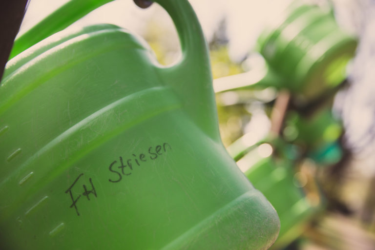 190410_StriesenFruehling_full-5462