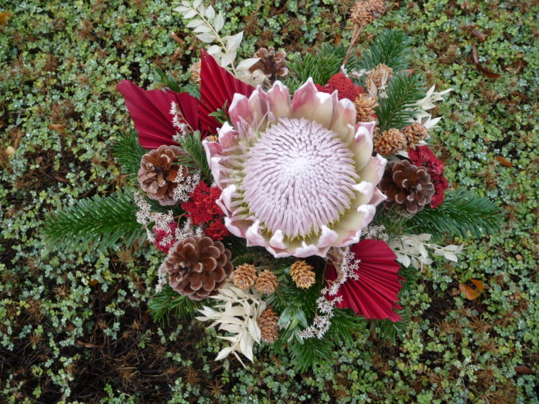 P1110978