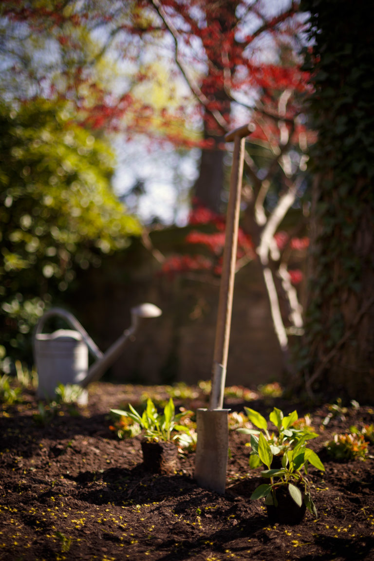 190410_StriesenFruehling_full-5473
