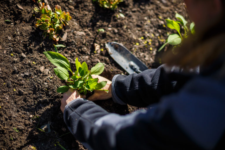 190410_StriesenFruehling_full-5476